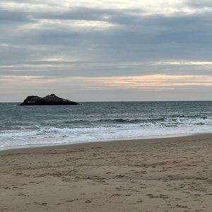 Meet your Posher, Timothy